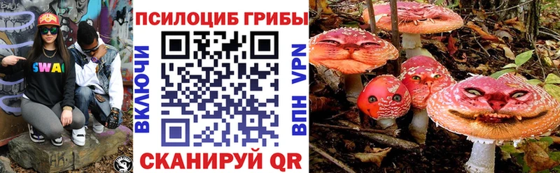 блэк спрут вход  Адыгейск  Галлюциногенные грибы Psilocybe 